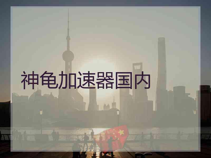 神龟加速器国内