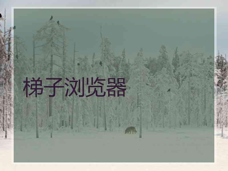 梯子浏览器