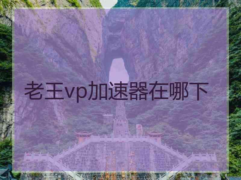 老王vp加速器在哪下