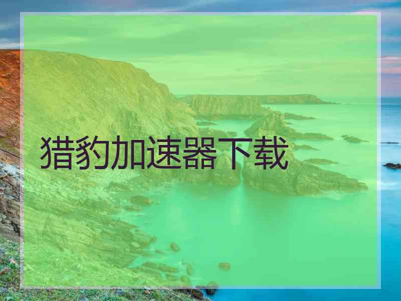 猎豹加速器下载