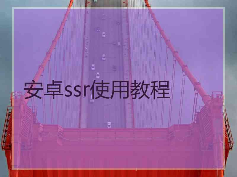 安卓ssr使用教程