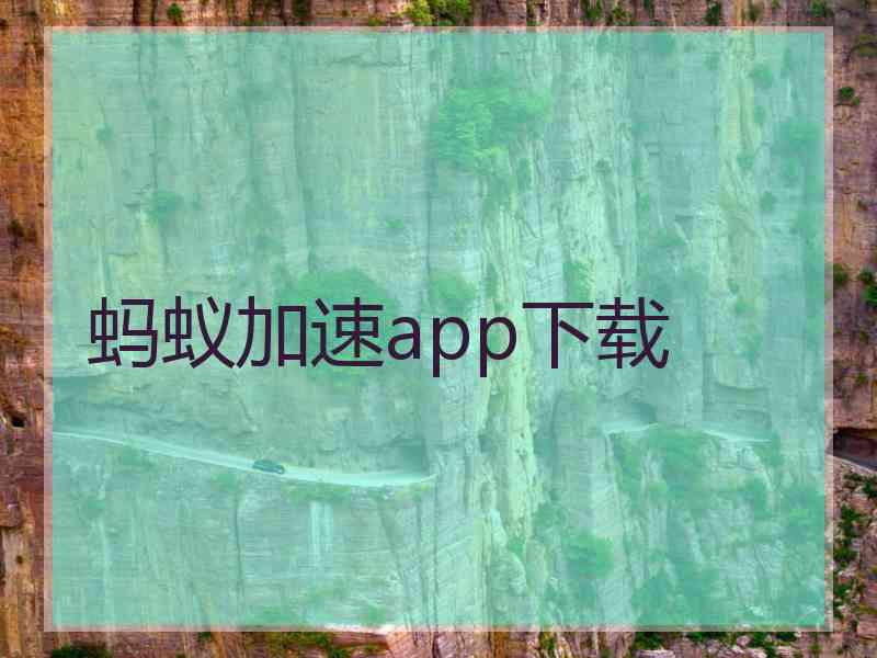蚂蚁加速app下载