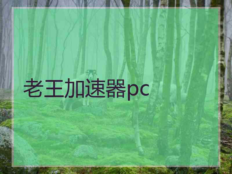 老王加速器pc