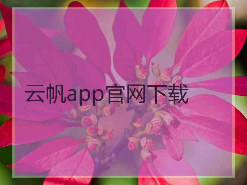 云帆app官网下载