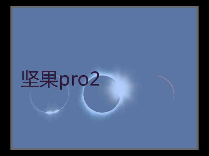 坚果pro2
