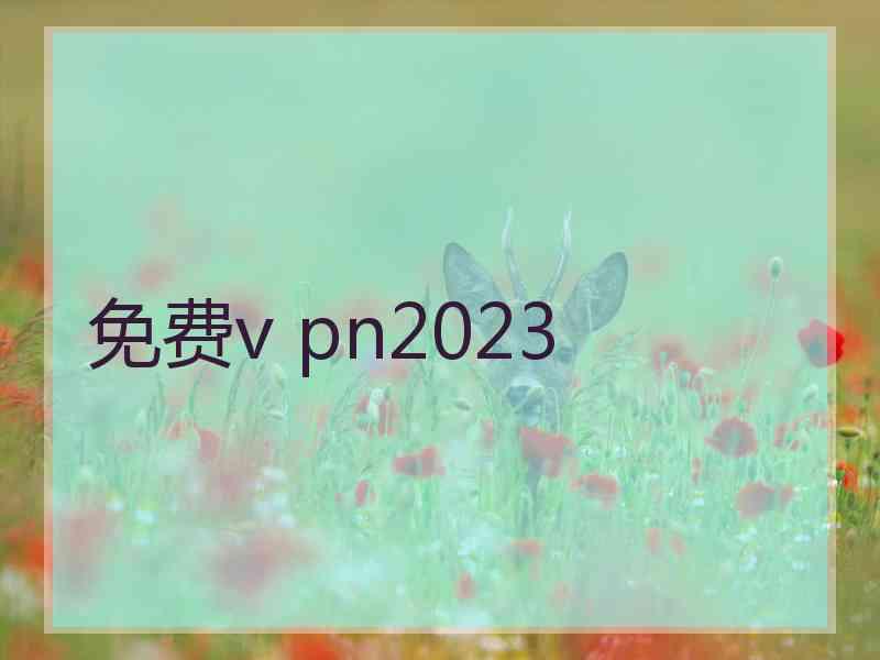 免费v pn2023