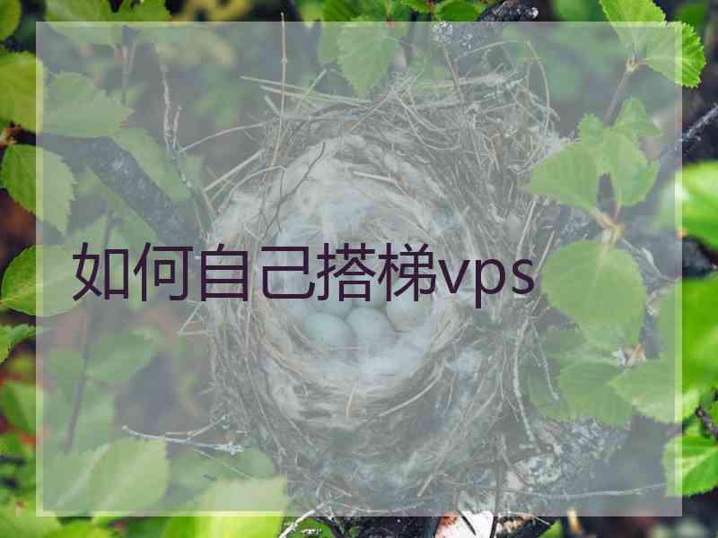 如何自己搭梯vps