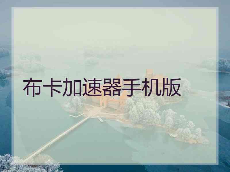 布卡加速器手机版