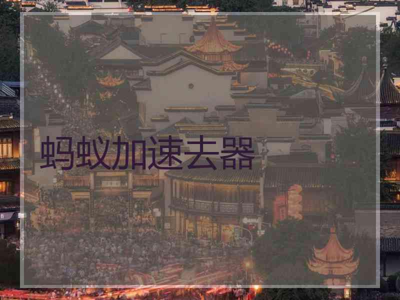蚂蚁加速去器