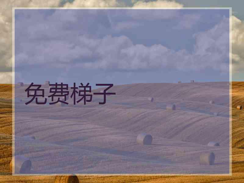 免费梯子
