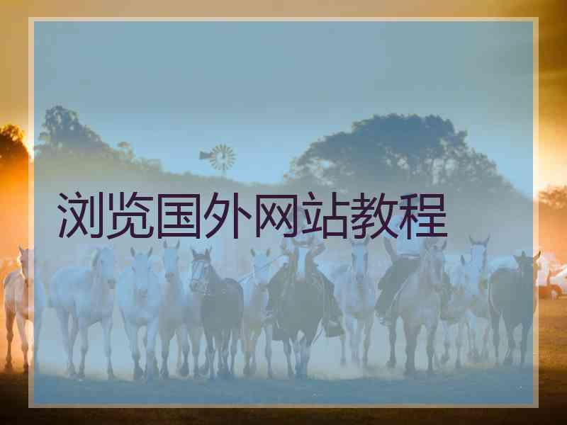 浏览国外网站教程