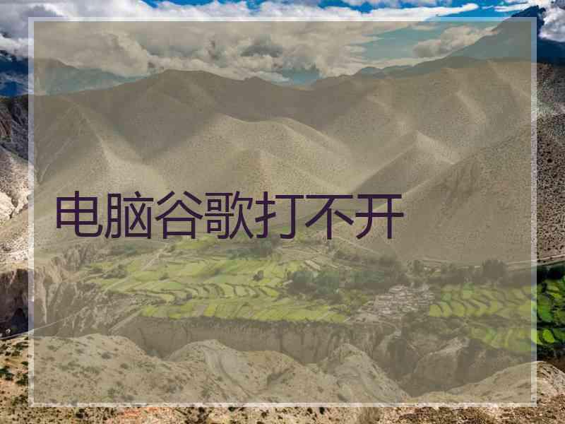 电脑谷歌打不开