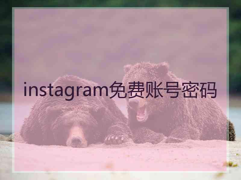instagram免费账号密码