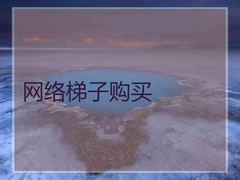 网络梯子购买
