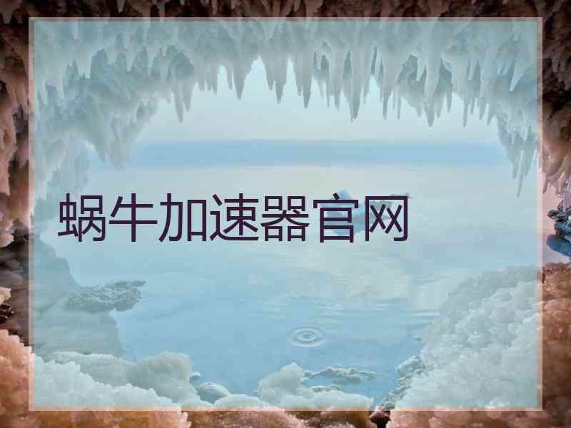 蜗牛加速器官网