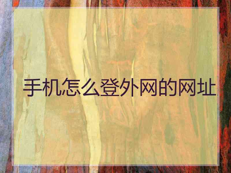手机怎么登外网的网址