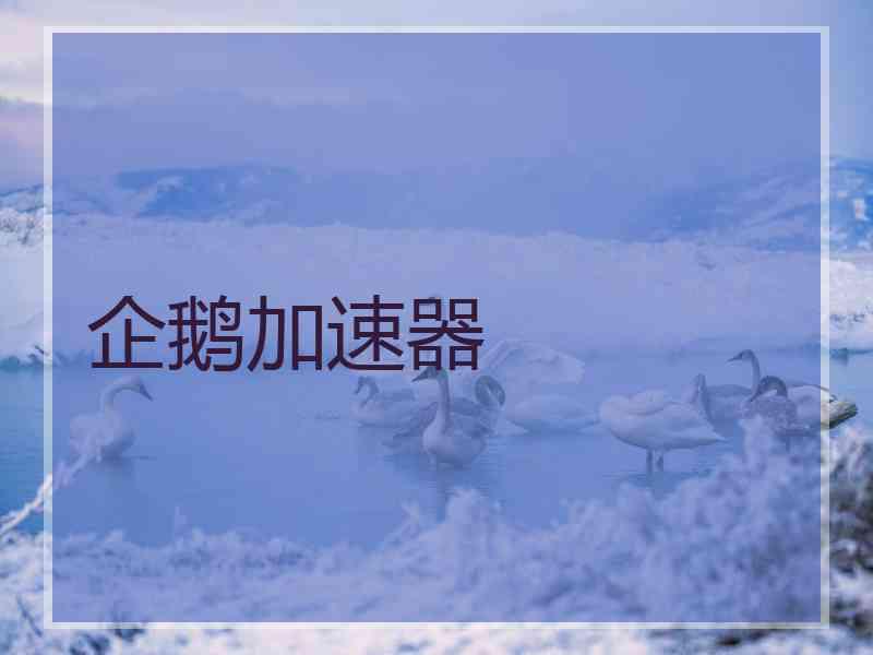企鹅加速器
