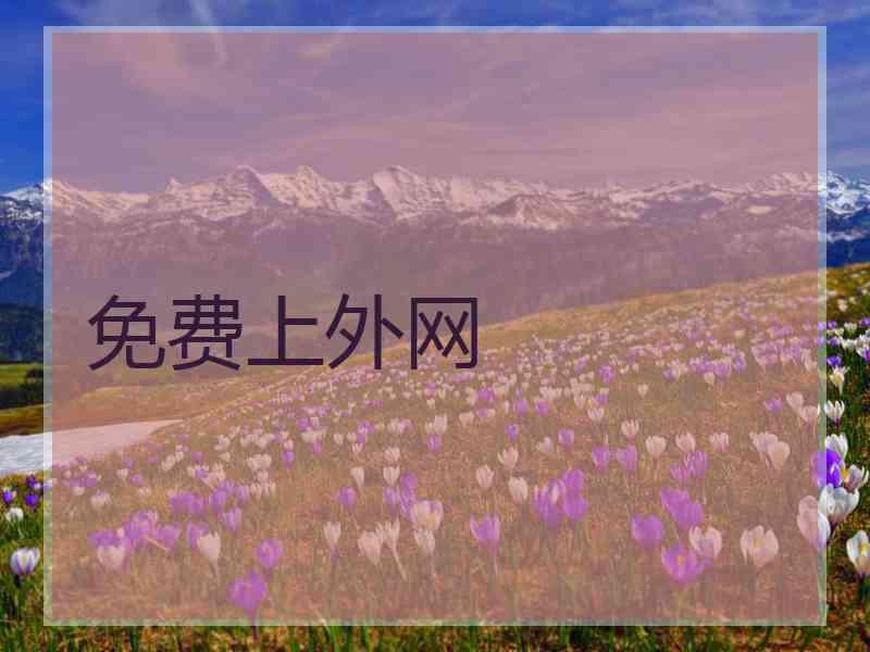免费上外网