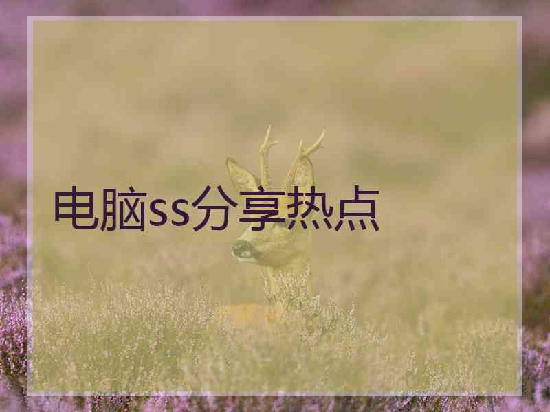 电脑ss分享热点
