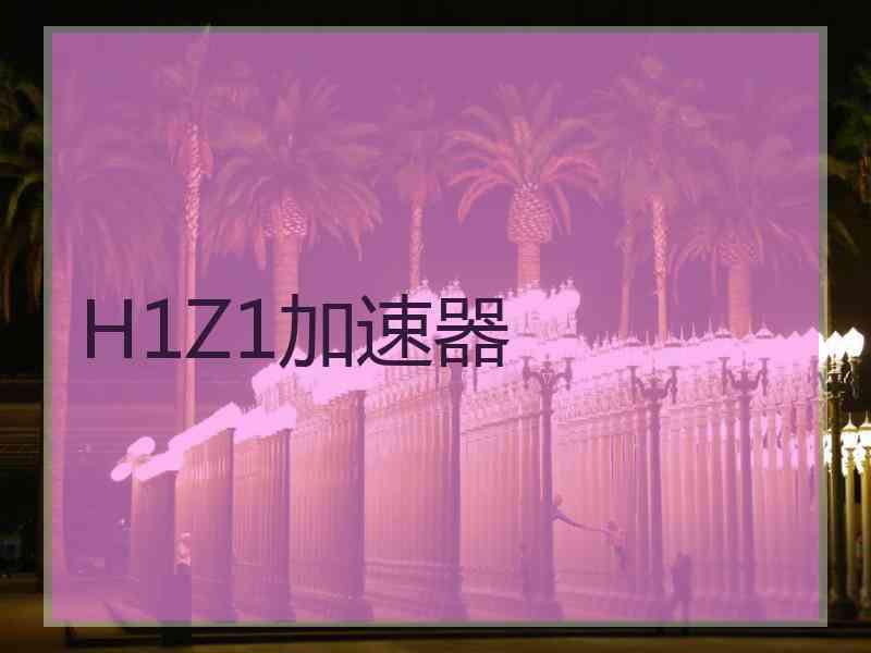 H1Z1加速器