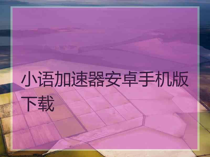 小语加速器安卓手机版下载