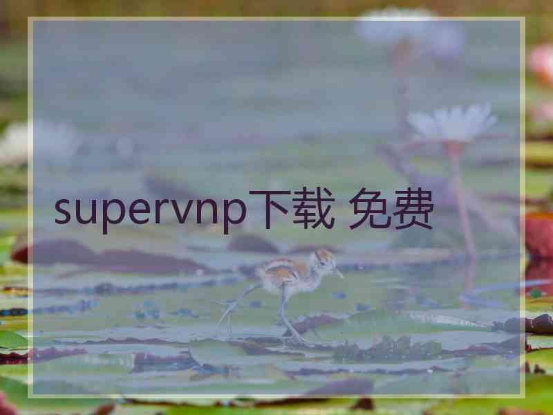 supervnp下载 免费