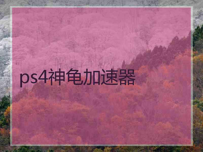 ps4神龟加速器