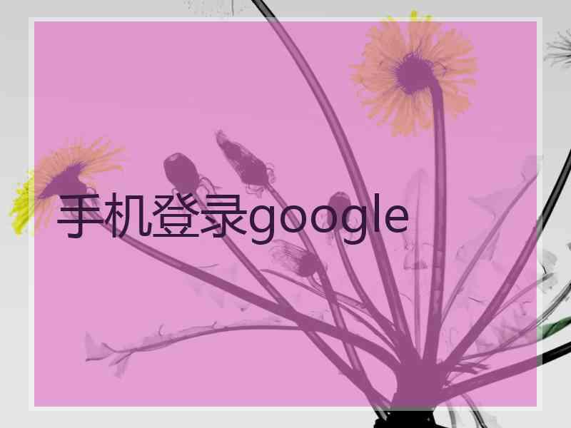 手机登录google