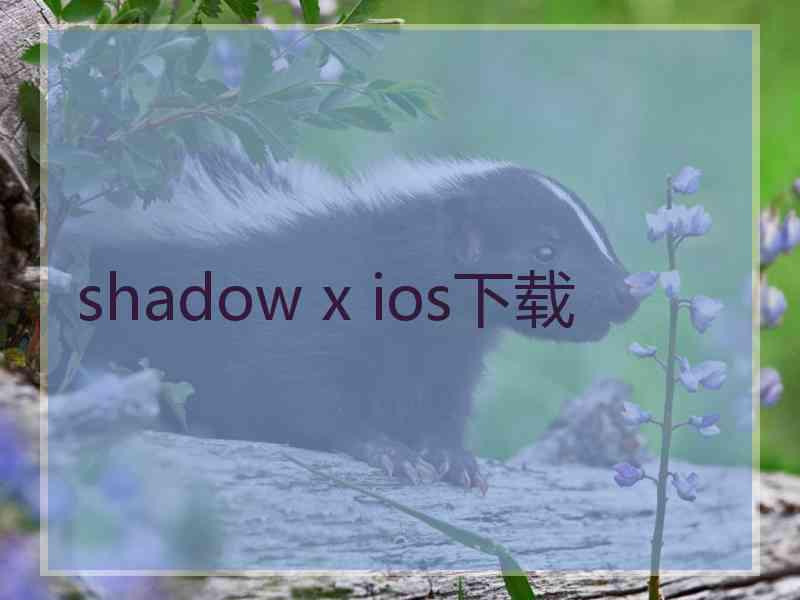 shadow x ios下载