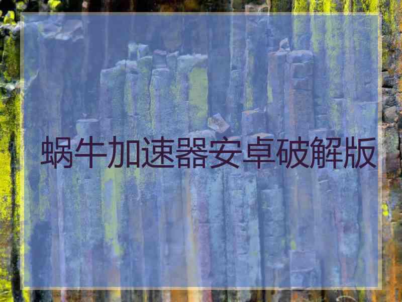 蜗牛加速器安卓破解版