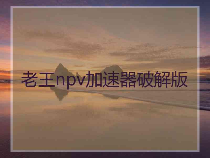 老王npv加速器破解版