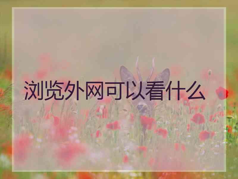 浏览外网可以看什么