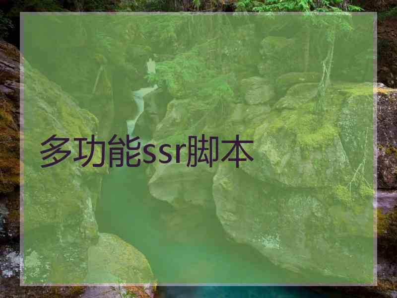 多功能ssr脚本