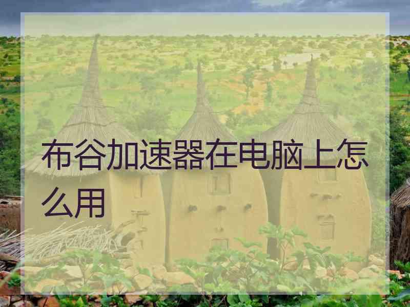 布谷加速器在电脑上怎么用