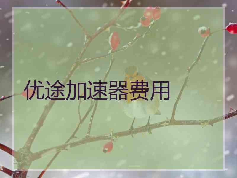 优途加速器费用