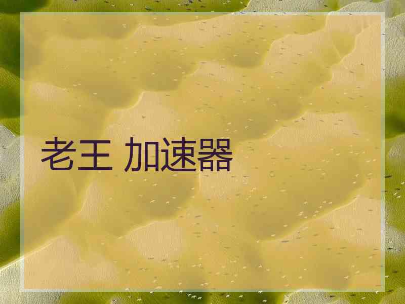 老王 加速器