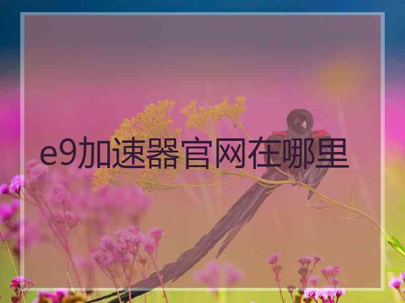 e9加速器官网在哪里