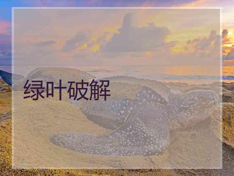绿叶破解