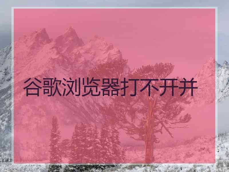 谷歌浏览器打不开并
