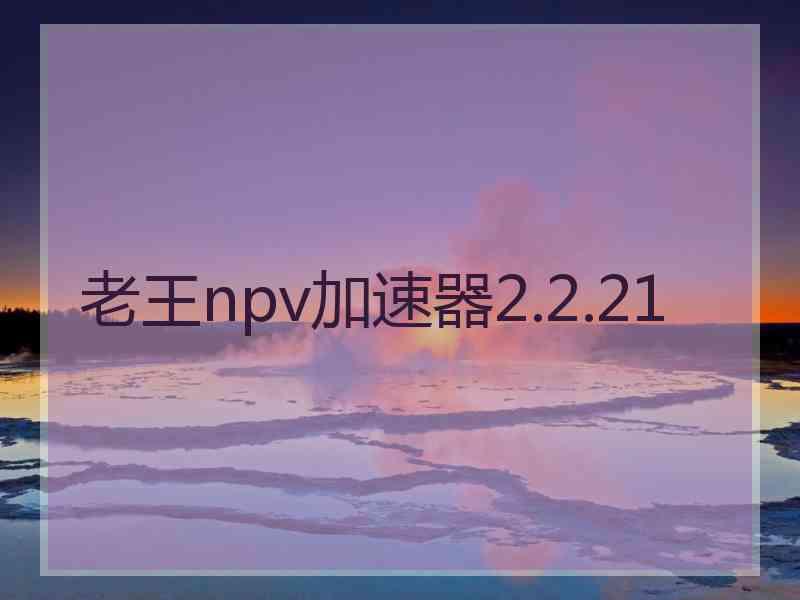 老王npv加速器2.2.21