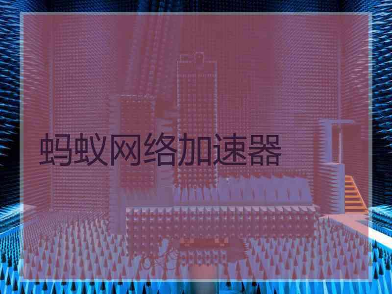 蚂蚁网络加速器