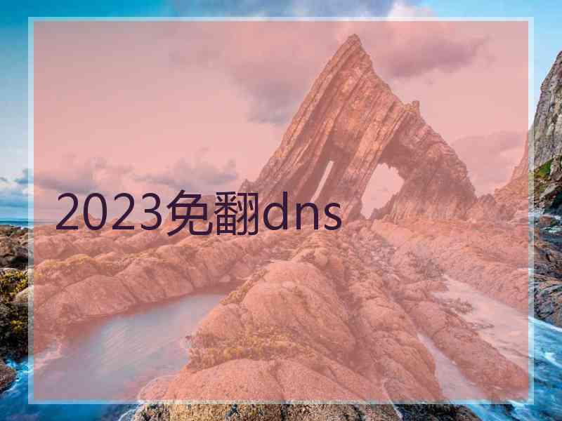 2023免翻dns