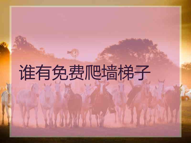 谁有免费爬墙梯子