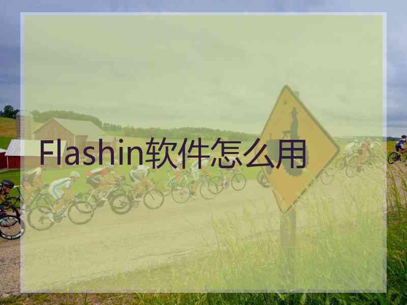 Flashin软件怎么用