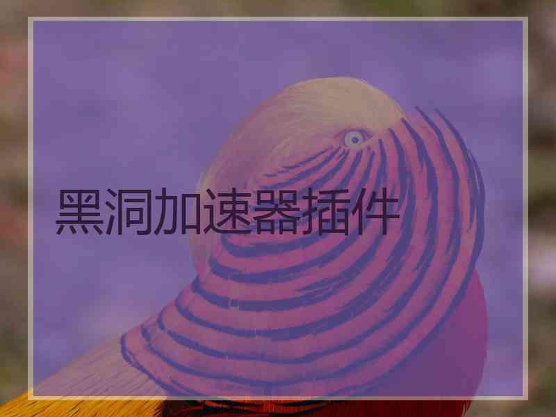 黑洞加速器插件
