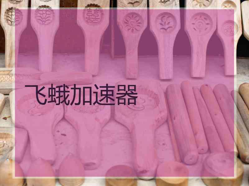 飞蛾加速器
