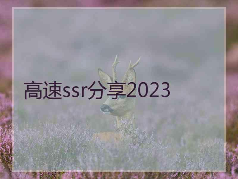 高速ssr分享2023