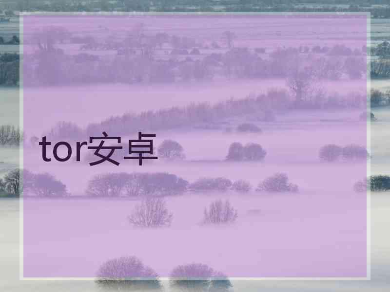 tor安卓