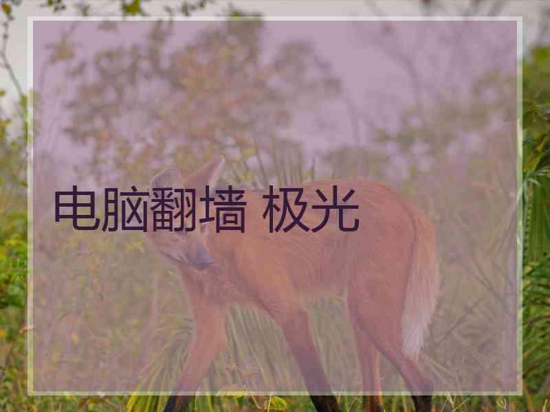 电脑翻墙 极光