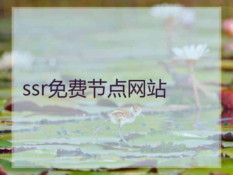 ssr免费节点网站